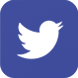 Twitter Page